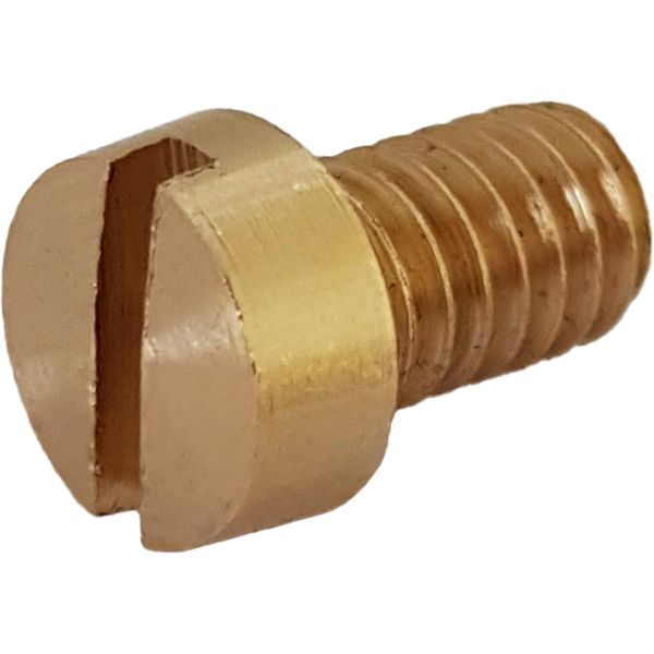 JOHNSON End Cover/Cam Screw for F5B, F6B & F7B (0.0279.033)